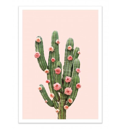 Art-Poster - Cactus and Roses - Paul Fuentes