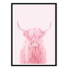 Art-Poster - Highland cow - Paul Fuentes
