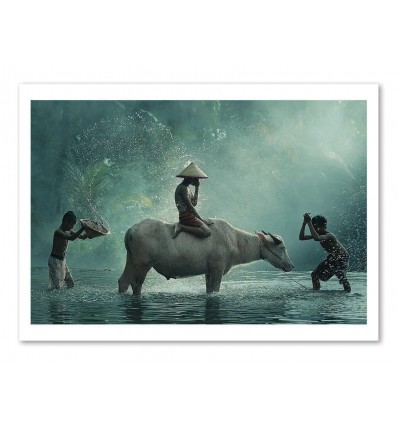 Art-Poster - Water Buffalo - Vichaya