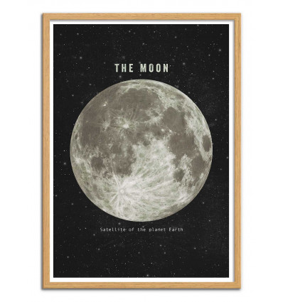Art-Poster - The moon - Terry Fan