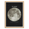 Art-Poster - The moon - Terry Fan - Cadre bois chêne