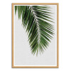 Art-Poster - Palm Leaf - Orara Studio - Cadre bois chêne
