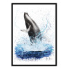 Art-Poster - Glorious Ocean Whale - Ashvin Harrison