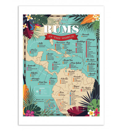 Art-Poster - Best rums in the world - Frog Posters