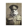 Card 10,5 x 14,8 cm - Sergeant Stormley - Terry Fan