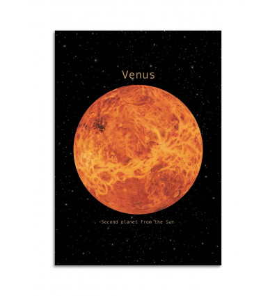 Card 10,5 x 14,8 cm - Venus - Terry Fan