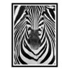Art-Poster - Zebra Face - Juan Duran