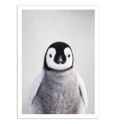 Art-Poster - Baby penguin - Gal Design