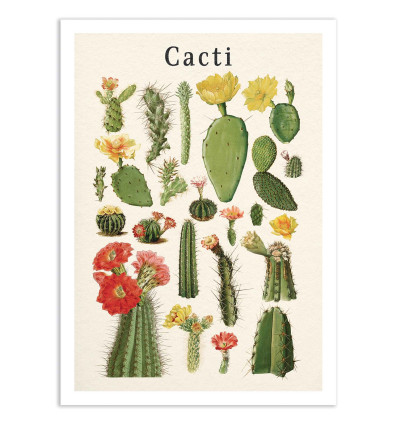 Art-Poster - Cacti collection - Gal Design