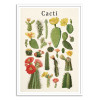 Art-Poster - Cacti collection - Gal Design