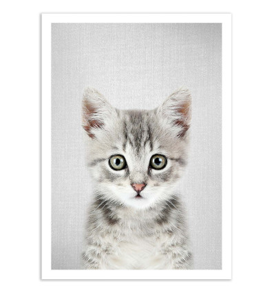 Art-Poster - Kitten - Gal Design