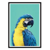 Art-Poster - Macaw Parrot in Blue - Gal Design