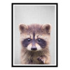 Art-Poster - Raccoon - Gal Design