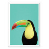 Art-Poster - Toucan bird in blue - Gal Design