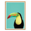 Art-Poster - Toucan bird in blue - Gal Design