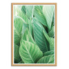Art-Poster - Tropical leaves - Gal Design