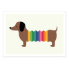 Art-Poster - Rainbow dog - Andy Westface