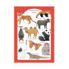 Art-Poster - Les animaux d'Asie - Judith Loske