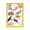 Art-Poster - Les animaux d'Australie - Judith Loske