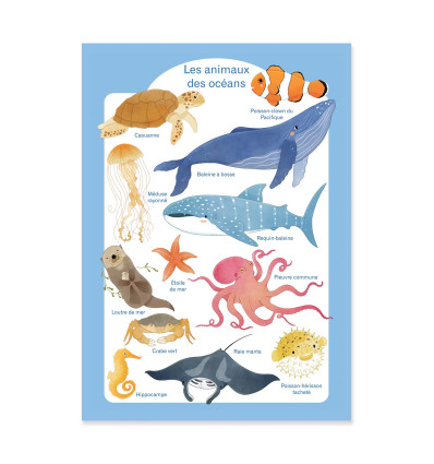 Art-Poster - Les animaux des océans - Judith Loske