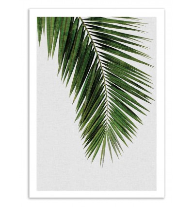Art-Poster 50 x 70 cm - Palm Leaf - Orara Studio