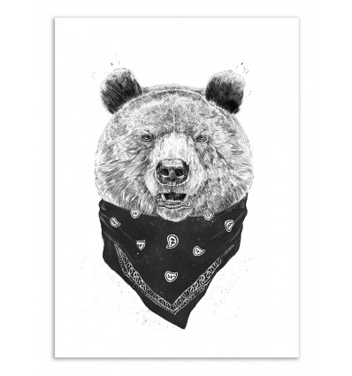 Art-Poster - Wild Bear - Balazs Solti